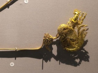 天竺桂价格要多少钱一棵?天竺桂有哪些价值?要如何养护?【球速体育官方网站】(图4) 球速体育APP